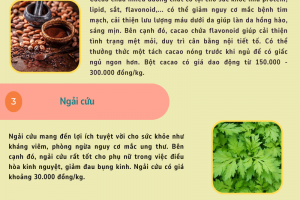 Những thực phẩm tốt cho phụ nữ giá rẻ